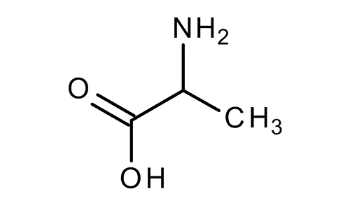 DL-Alanine, molecular structure