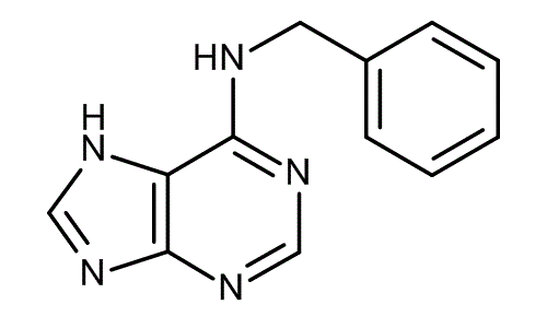 N<sup>6</sup>-Benzyladenine, molecular structure