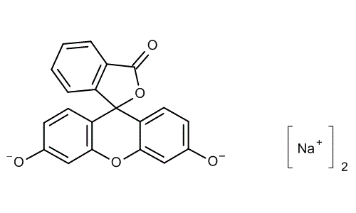 An example of sodium-fluoresceine with a clear delineation of the