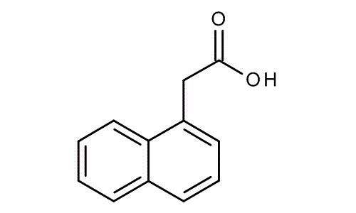 1-Naphthylacetic acid, molecular structure