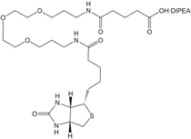 Structure formula Image