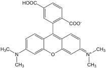 6-Carboxy-tetramethylrhodamine, molecular structure