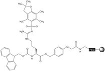 Fmoc-Arg(Pbf)-NovaSyn® TGA, molecular structure