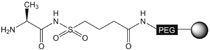 H-Ala-Sulfamylbutyryl NovaSyn® TG resin, molecular structure