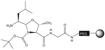 H-Leu-H NovaSyn® TG resin, molecular structure