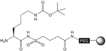 H-Lys(Boc)-Sulfamylbutyryl NovaSyn® TG resin, molecular structure