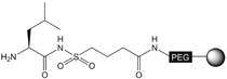 H-Leu-Sulfamylbutyryl NovaSyn® TG resin, molecular structure