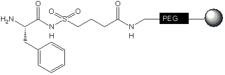 H-Phe-Sulfamylbutyryl NovaSyn® TG resin, molecular structure