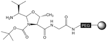 H-Val-H NovaSyn TG resin, molecular structure